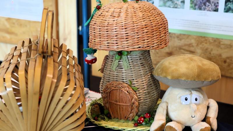 Gombák varázsa a bélyegeken, terítőkön és szalvétákon: igazi különlegesség Nyíregyházán!