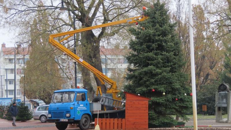 **DELMAGYAR - 21 év után a főtéren ünnepel: Hódmezővásárhely karácsonyfájának különleges meséje**

Hódmezővásárhely főtere idén ismét megcsillan a karácsony varázsában, hiszen 21 év után újra felállítják a város ikonikus karácsonyfáját. Ennek a különleges